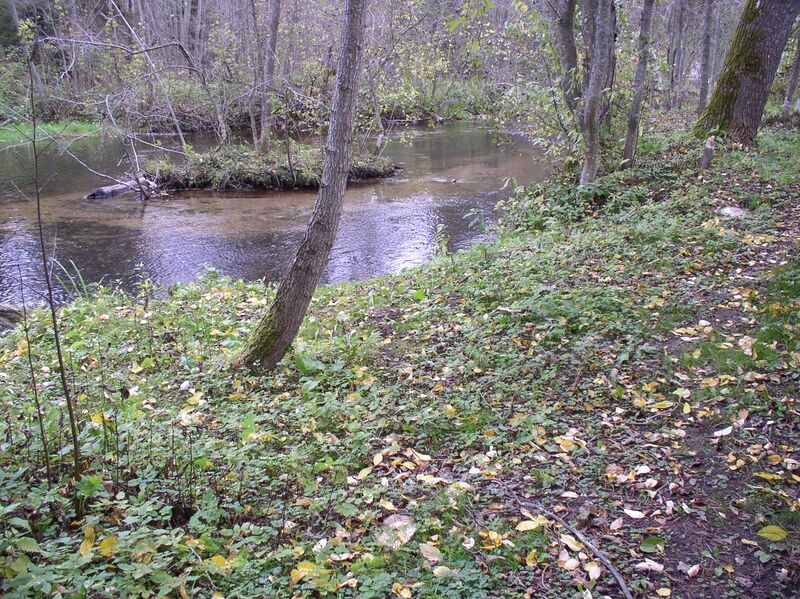 Файл:Valdaika-river-09-2011.JPG