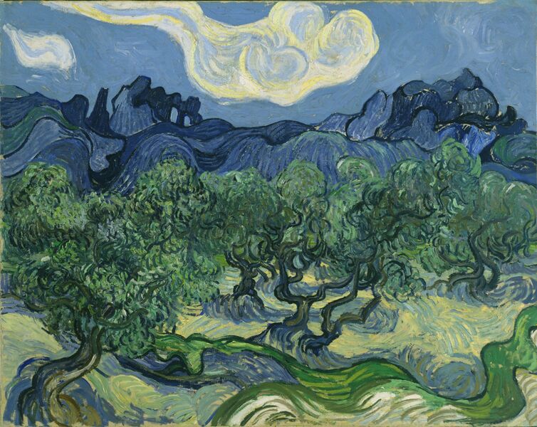 Файл:Van Gogh The Olive Trees..jpg