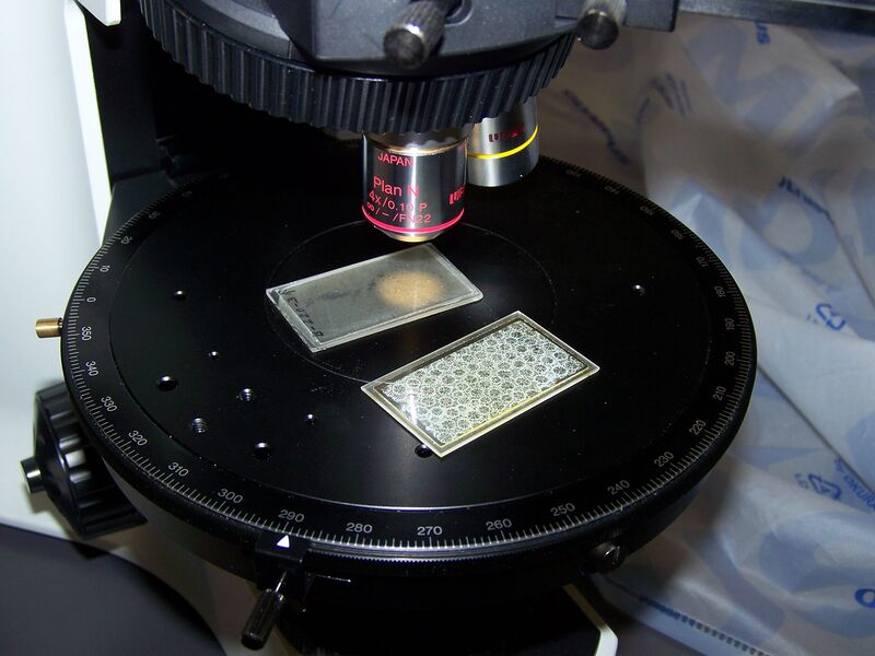 Файл:Thin sections.JPG