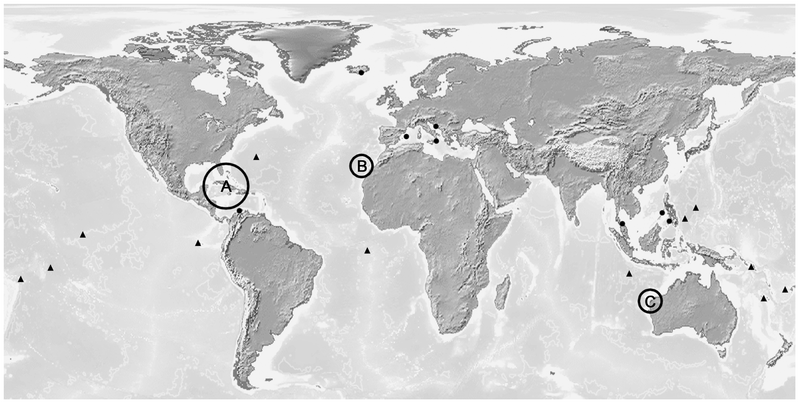 Файл:Distribution of Remipedia..png