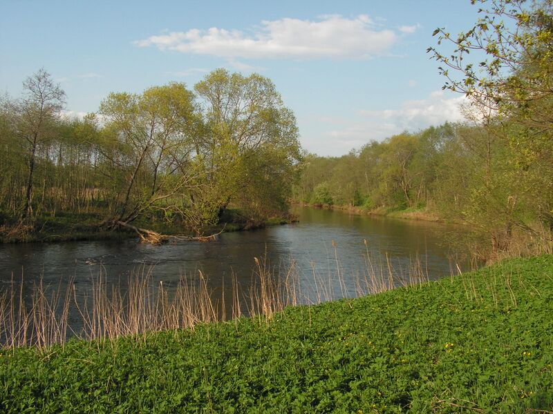 Файл:Issa river in Shliopikha.JPG