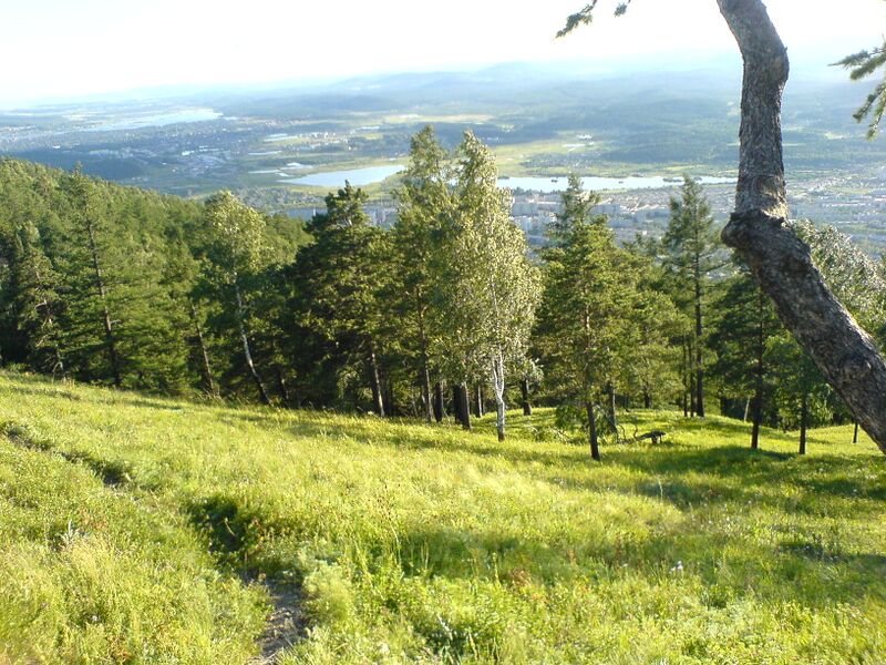 Файл:Miass s gor.JPG