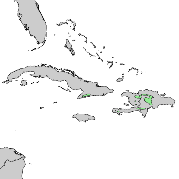 Файл:Pinus occidentalis range map 2.png