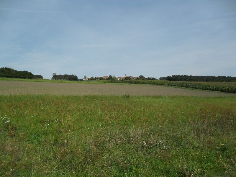 Файл:Weihenzell-Forst.JPG