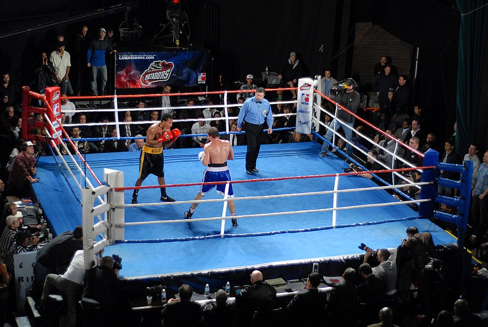 Файл:World Series Boxing Ring.JPG