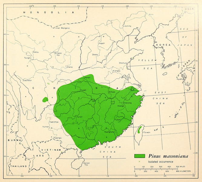 Файл:CL-35 Pinus massoniana range map.png