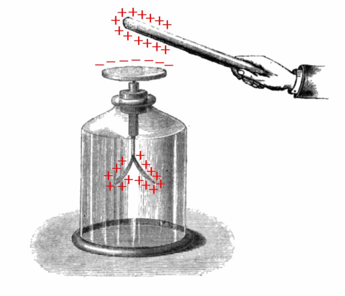 Файл:Electroscope showing induction.png