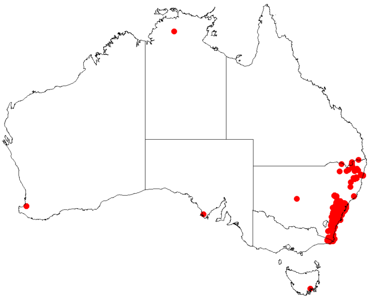 Файл:Hakea dactyloidesDistMap35.png