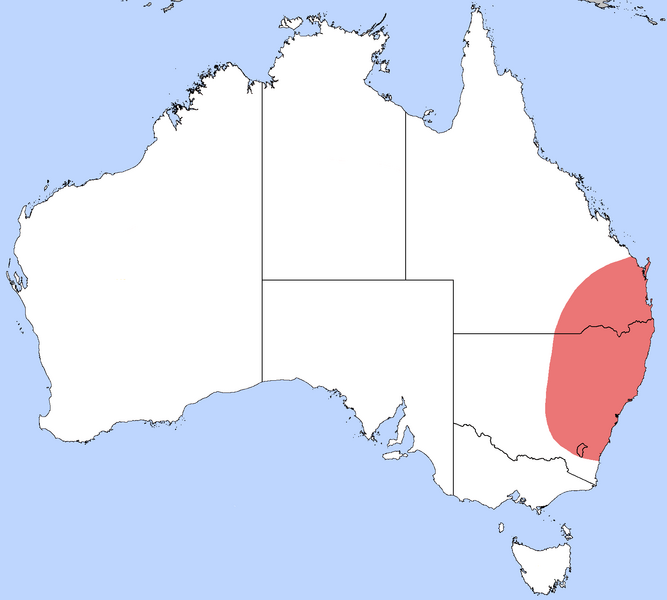Файл:Red Bull Ant Distribution.png