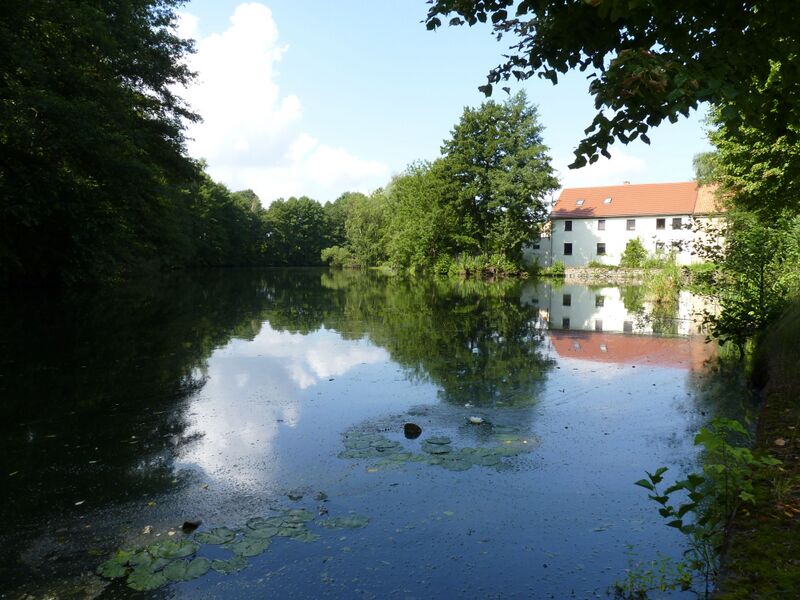 Файл:Hofeteich Niederoderwitz Oderwitz 2010-08-04 01.jpg
