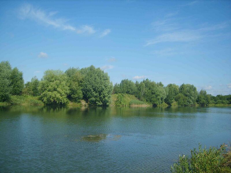 Файл:Makovitsy prud.JPG