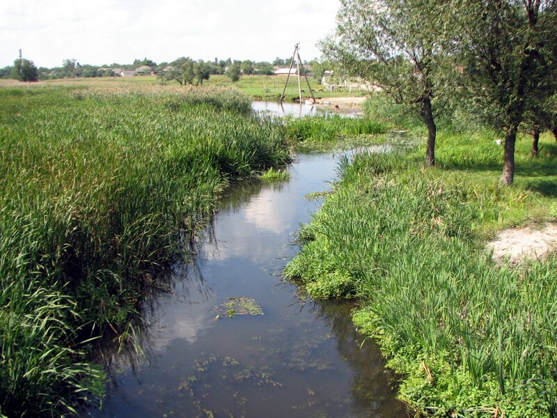 Файл:Savranka.JPG