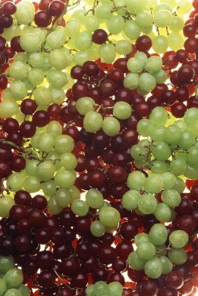 Файл:Ripe grapes.jpg