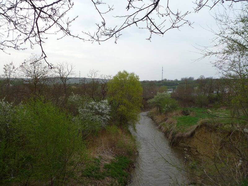Файл:Mut1010090.JPG