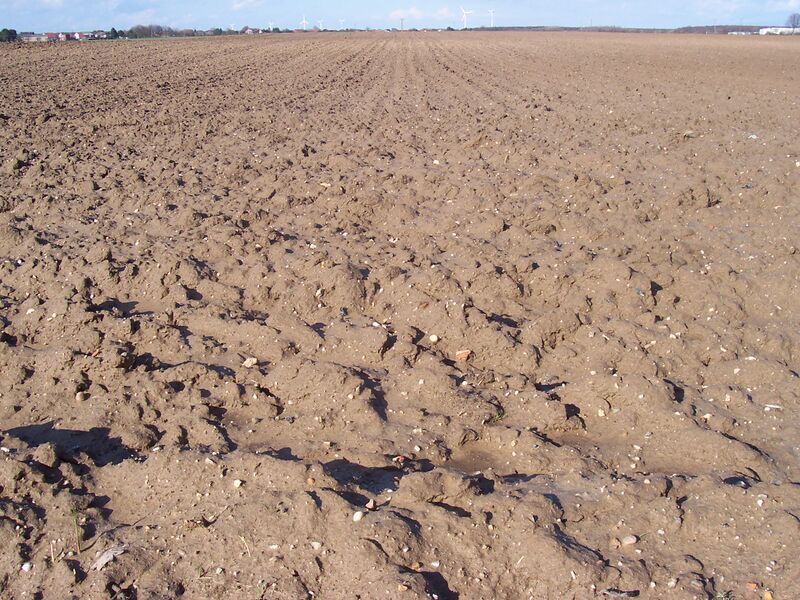 Ӳкерчĕк:Feld.jpg