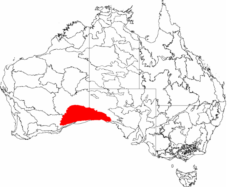 Файл:IBRA 6.1 Nullarbor.png