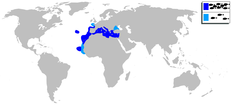 Файл:Pagellus erythrinus mapa.svg