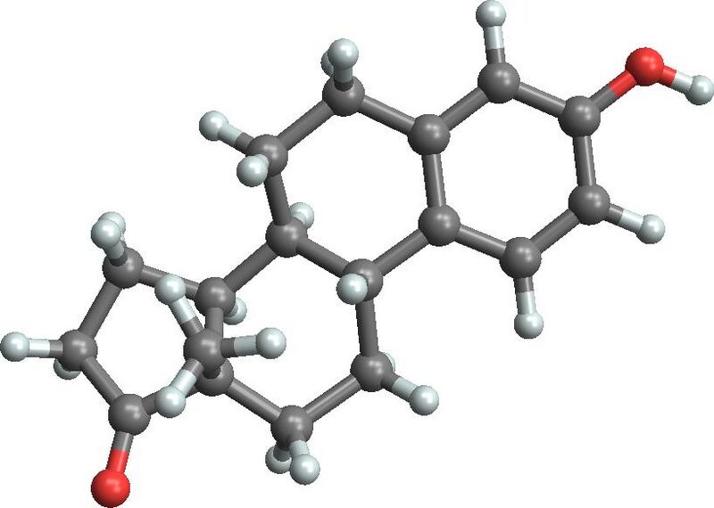 Файл:Estron 3d.jpeg