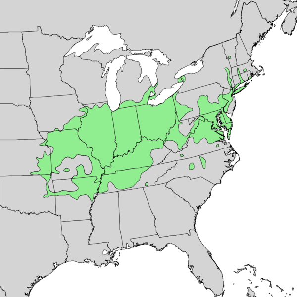 Файл:Quercus palustris range map 1.png