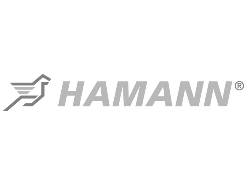 Файл:Hamann Logo.jpeg