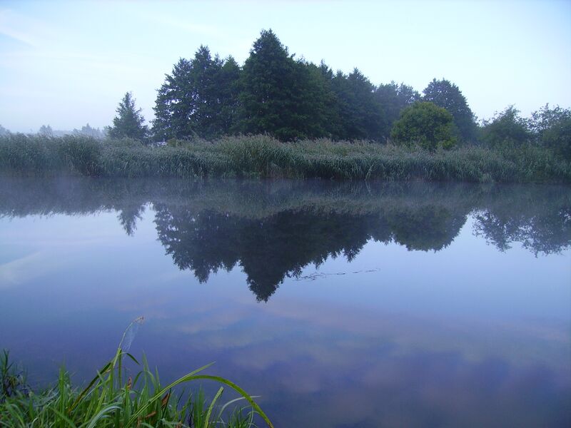 Файл:Peene bei Loitz.JPG