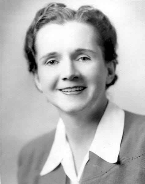 Файл:Rachel-Carson.jpg