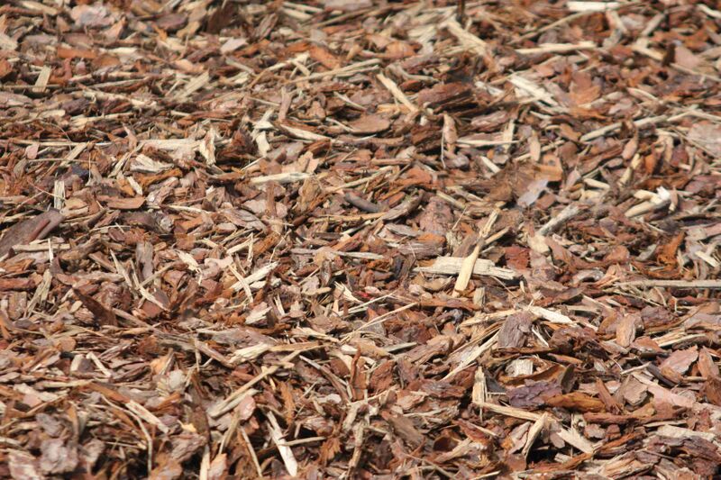 Файл:Rindenmulch 015.JPG