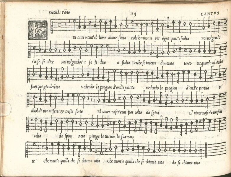 Файл:Rore-note nere.jpg