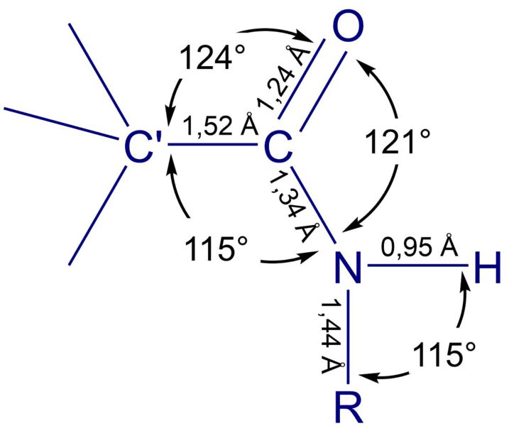 Файл:Amide-group-structure.png