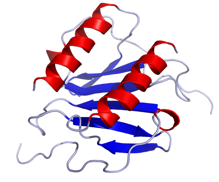 Файл:IL8 Solution Structure.rsh.png
