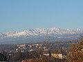 Жимо верси 2005, 15 декабрь, 09:04
