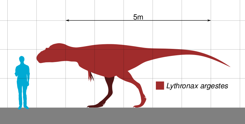 Файл:Lythronax Scale.svg