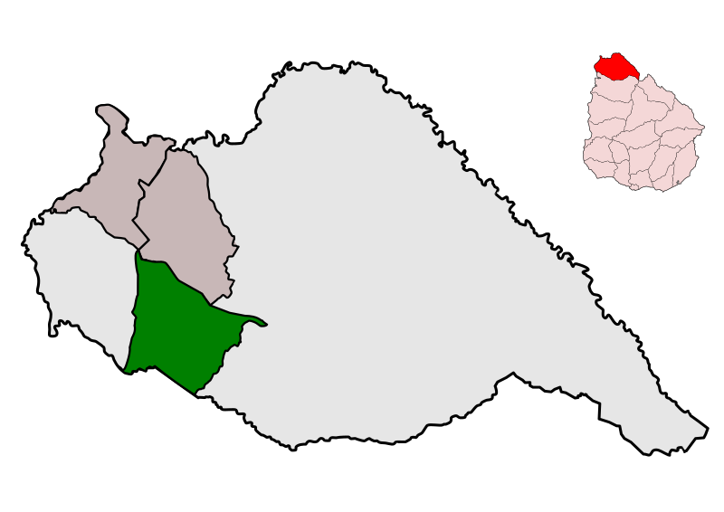 Файл:MunicipiodeBaltasarBrum.svg