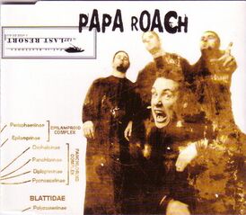 Обложка сингла Papa Roach «Last Resort» (2000)