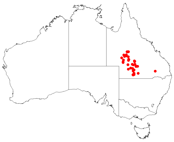Файл:Hakea collinaDistMap24.png