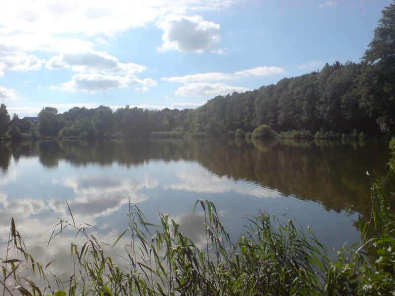 Файл:Mohrmühlweiher1.JPG