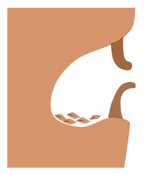 Файл:NuthatchNest.svg