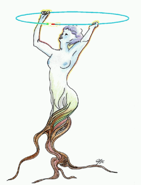Файл:Rootdrawing.gif