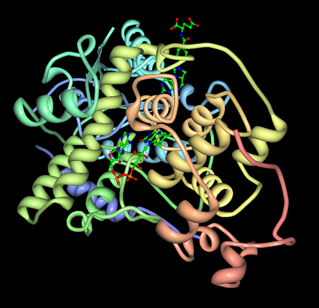 Файл:RDB 2IJG.png