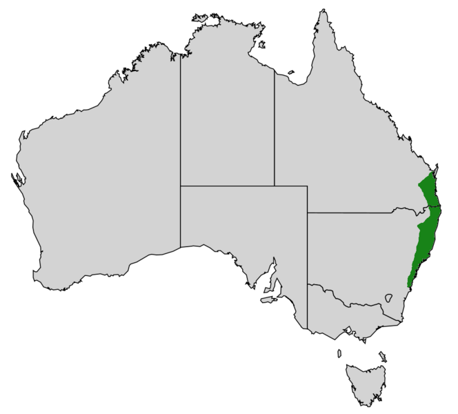 Файл:Ficusmacrophyllargemap.png