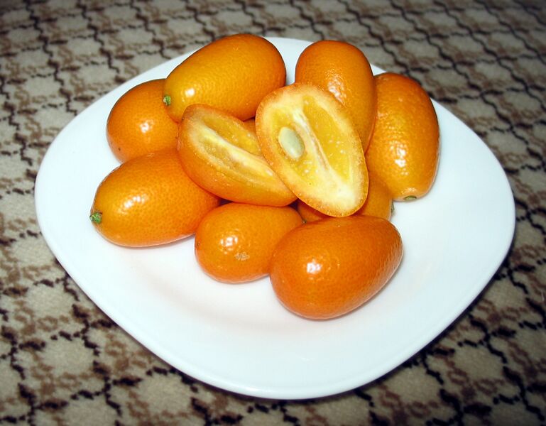 Файл:Kumquat-Crosssection.jpeg