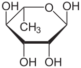 Файл:Alpha-L-Rhamnopyranose.svg