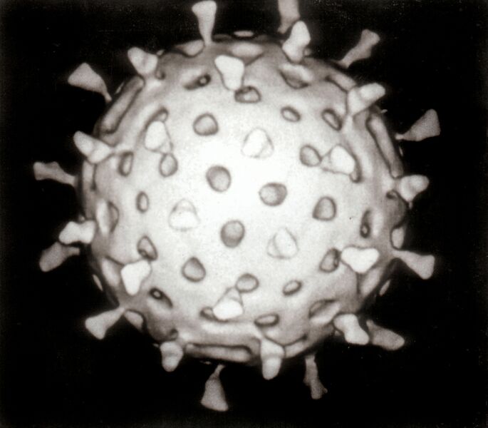 Файл:Rotavirus Reconstruction.jpg