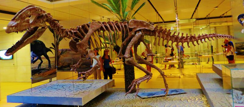 Файл:Sinosaurus triassicus.JPG