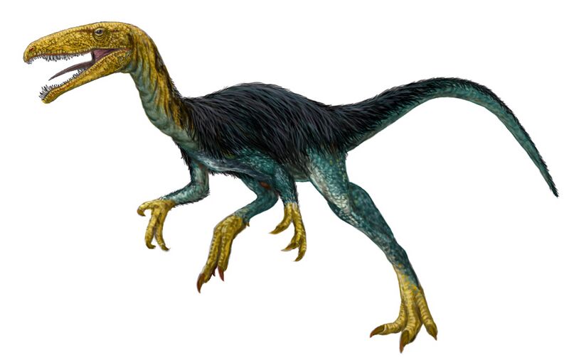 Файл:Velocisaurus.jpg