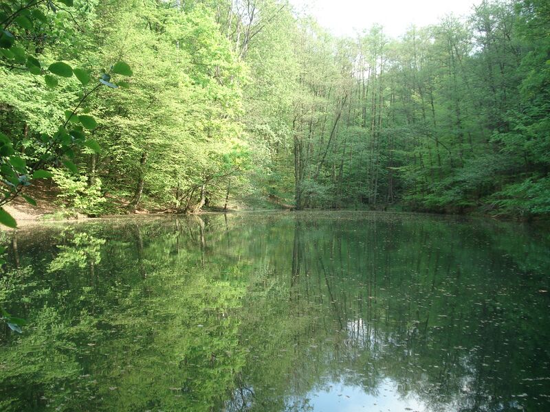 Файл:Waldmichelbacher See.JPG