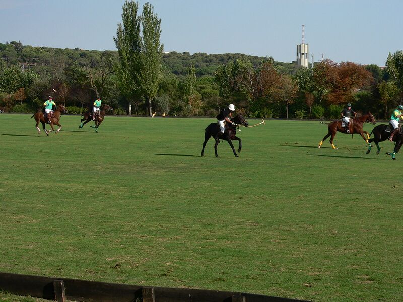 Файл:Polo.JPG