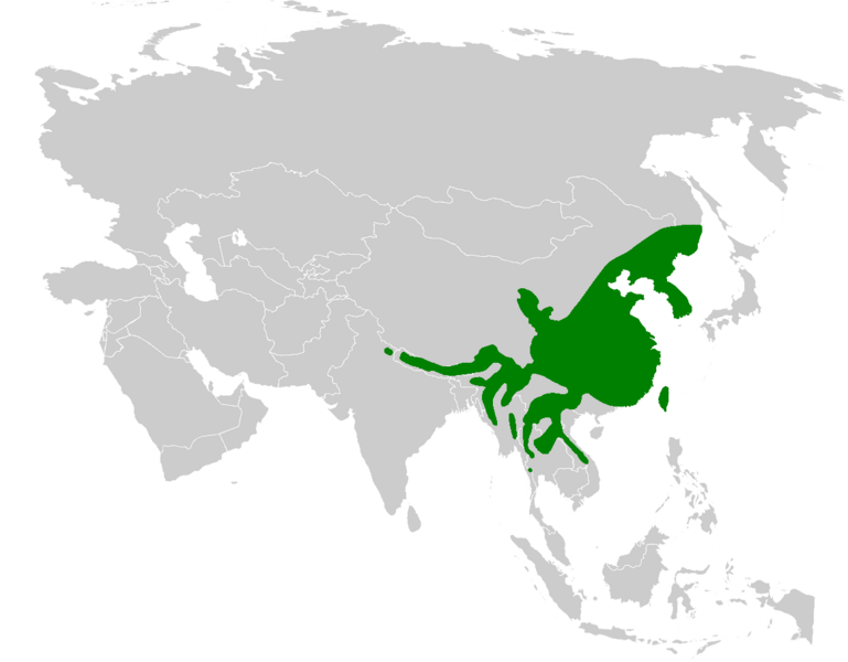 Файл:Suthora distribution map.png