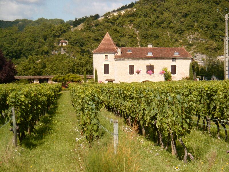 Файл:Cahors Chateau.jpg