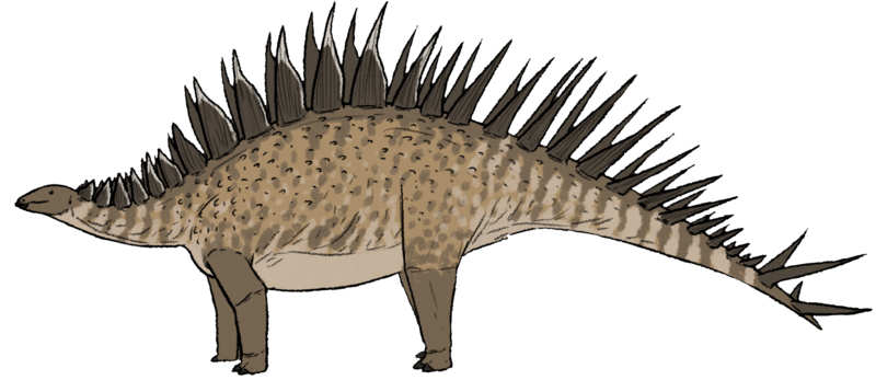 Файл:Loricatosaurus priscus.png